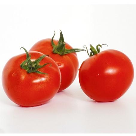 Tomate premium - 1kg